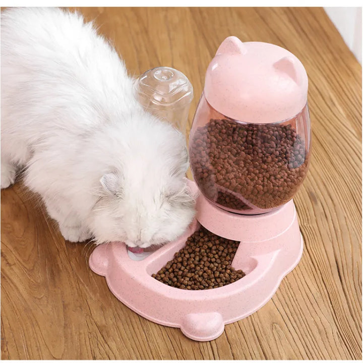 Cute automatic cat food dispenser, timed pet feeding station for cats & kittens. Reliable auto feeder pet supplies.
