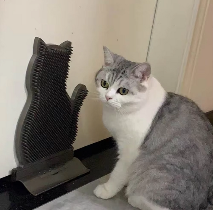 Stylish cat towel holder in durable silicone, ideal accessory for bathroom or kitchen organization.