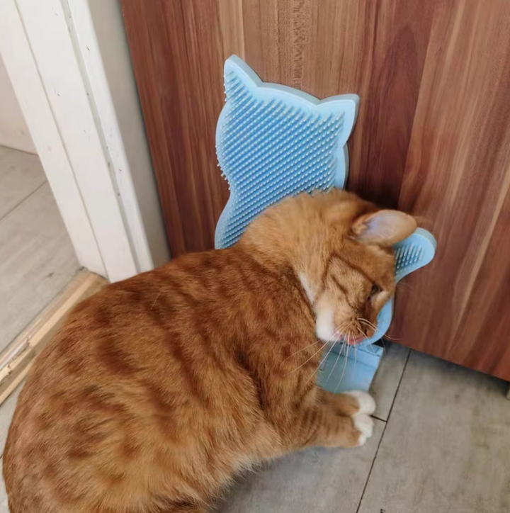 Durable silicone cat towel grip, an essential organization accessory for your home.