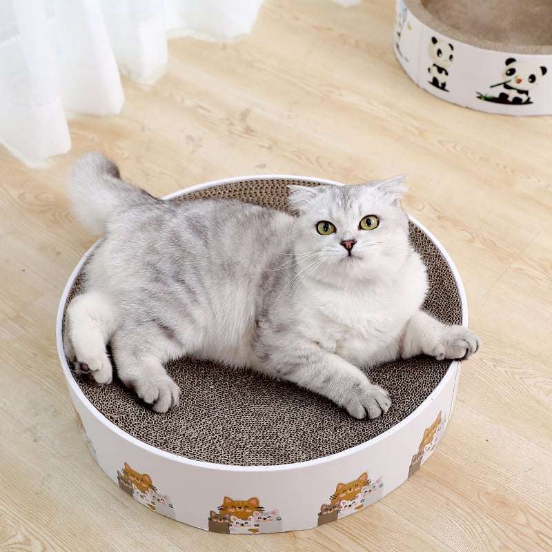 Cute round cat scratching mat for healthy claw care & furniture protection.