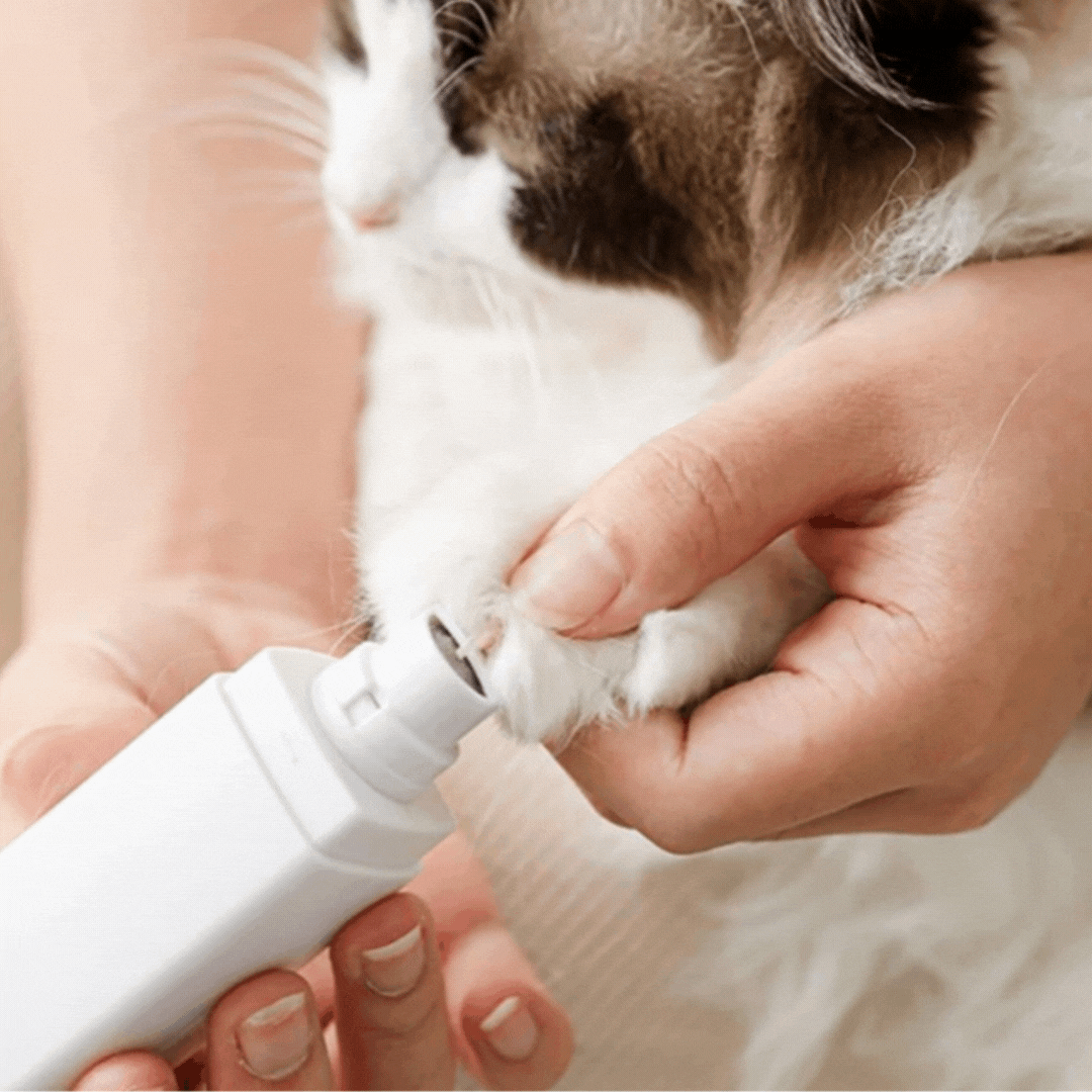 Quiet pet nail grinder with LED display for gentle and precise dog & cat claw care.