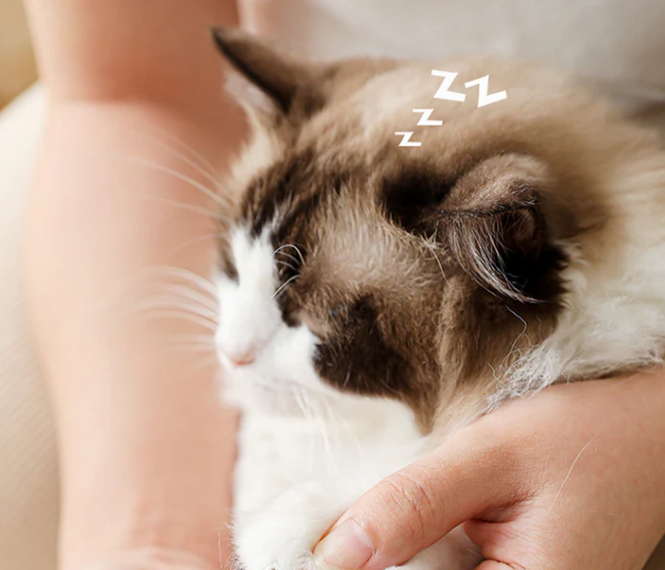 Painless digital pet nail grinder for dogs & cats, featuring an LED display & quiet motor.