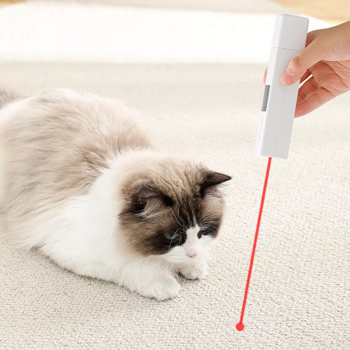 Effective dog & cat nail grinder with quiet motor, LED screen for precise pet claw grooming.