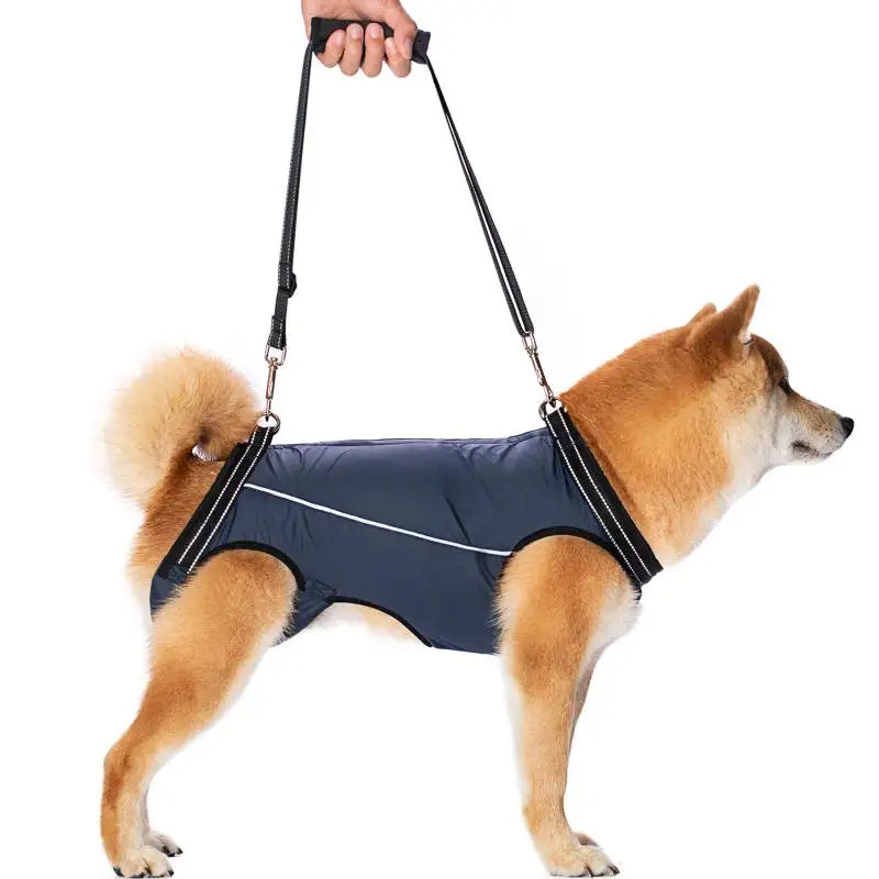 Dog lift harness for senior or injured pets, offering mobility support & joint pain relief.