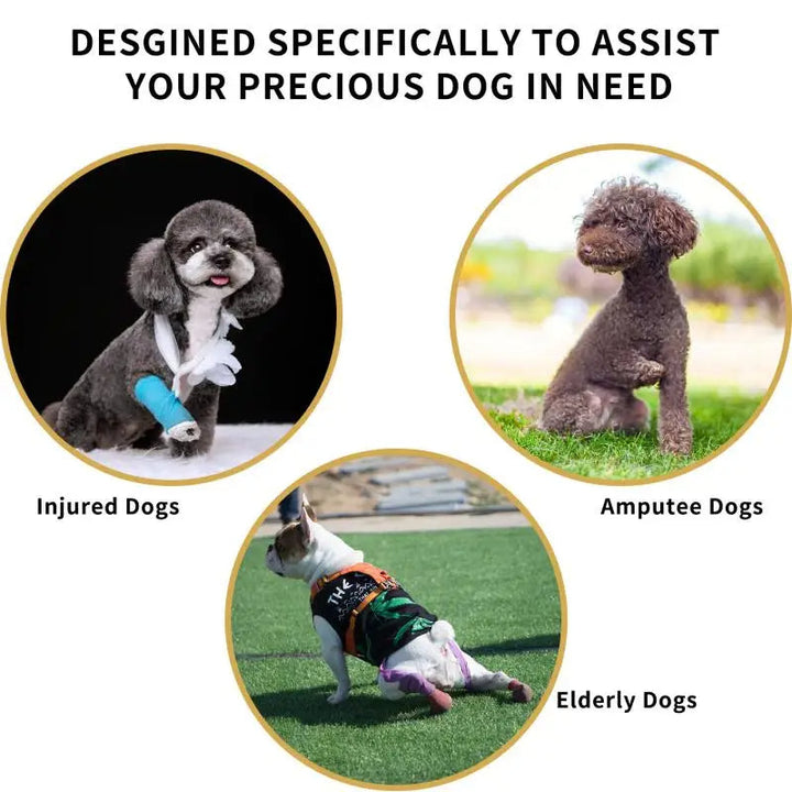 Post-surgery dog recovery sling harness for injured pets, aiding rehabilitation & mobility.