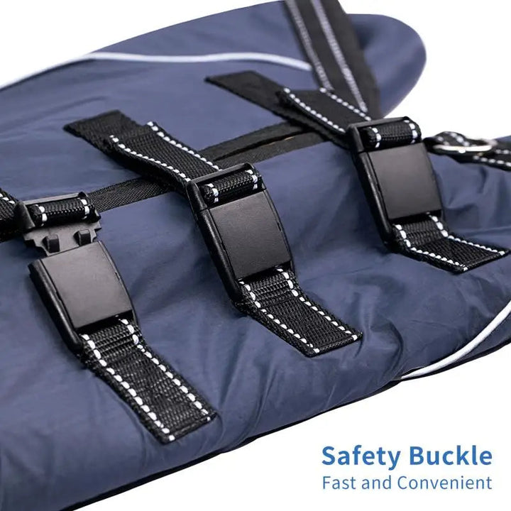 Rear leg dog lift harness for senior dogs with hip weakness, offering essential mobility aid.
