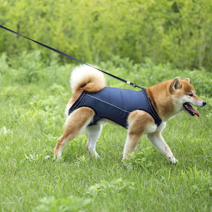 Dog support harness for lifting & assisting senior or injured pets with stability & balance.