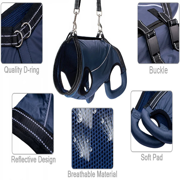 Improve pet's quality of life with this dog lift harness for senior, arthritic, or injured dogs.