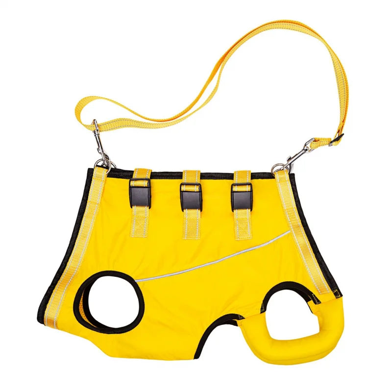 Comfortable, adjustable dog sling harness for injured or senior pets provides secure canine support.