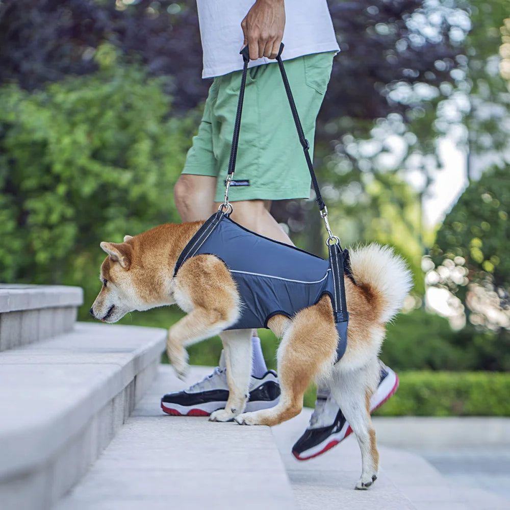 Dog support harness for hip dysplasia, arthritis, weakness in senior or disabled pets.