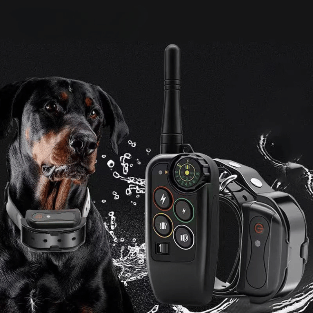 Rechargeable dog e-collar & long range remote for professional pet behavior correction & training.
