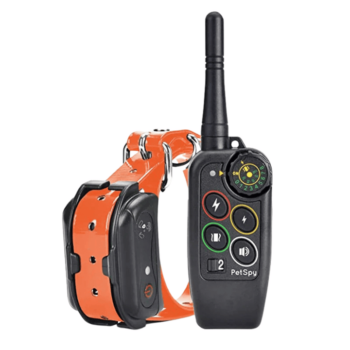 Essential dog gear: waterproof e-collar with long range remote for outdoor training & behavior correction.