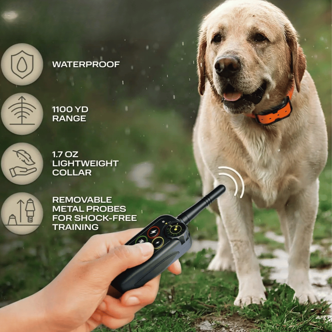 Rechargeable, waterproof dog training e-collar with long range remote for reliable pet obedience.