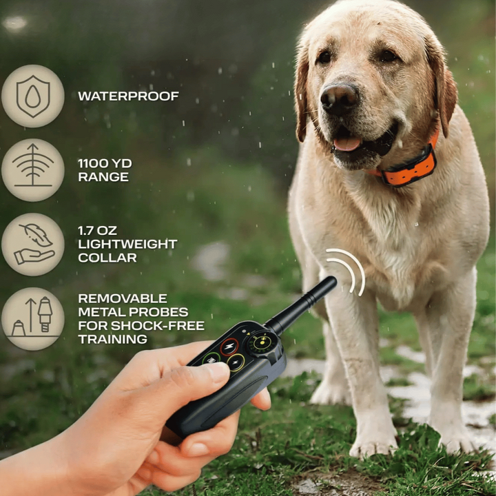 Rechargeable, waterproof dog training e-collar with long range remote for reliable pet obedience.