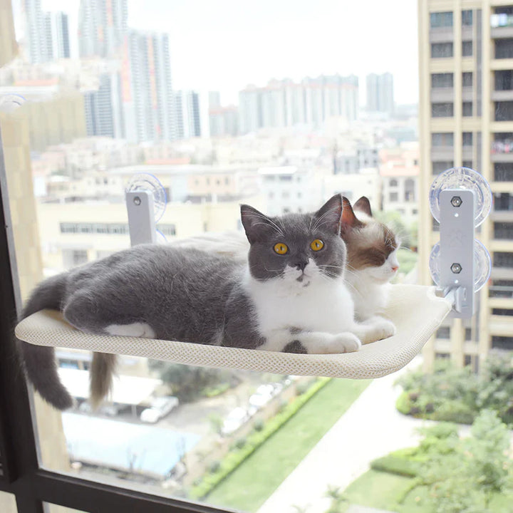 Durable cat window hammock for sunbathing & elevated views. Space-saving window perch for feline comfort.