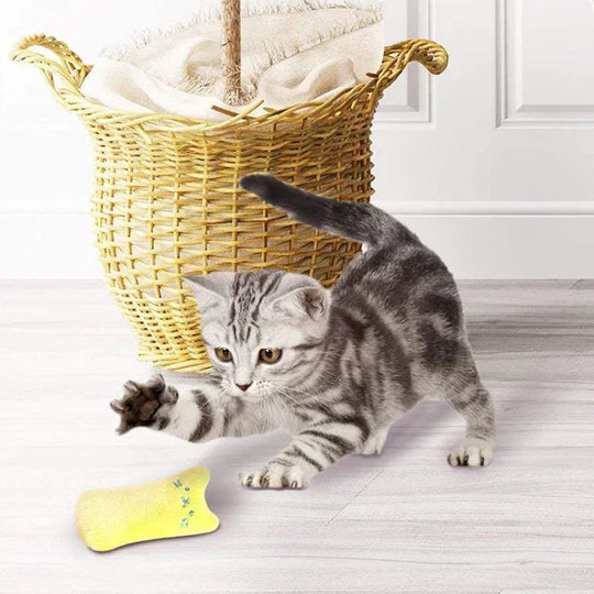 Essential pet accessory: a durable, scratch-resistant cat toy filled with catnip for endless feline entertainment.