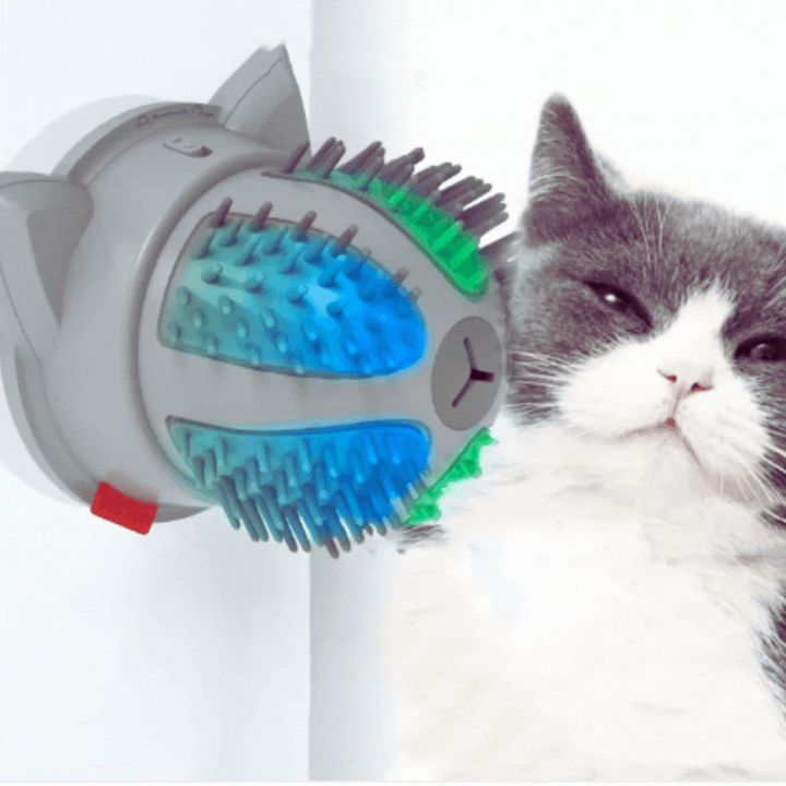 Feline wellness electric self-groomer with dual power. Catnip toy attachment for happy & healthy cats.