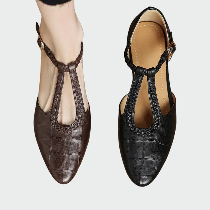 Pair of elegant women's T-bar Mary Jane shoes, one brown and one black, with pointed toes and block heels