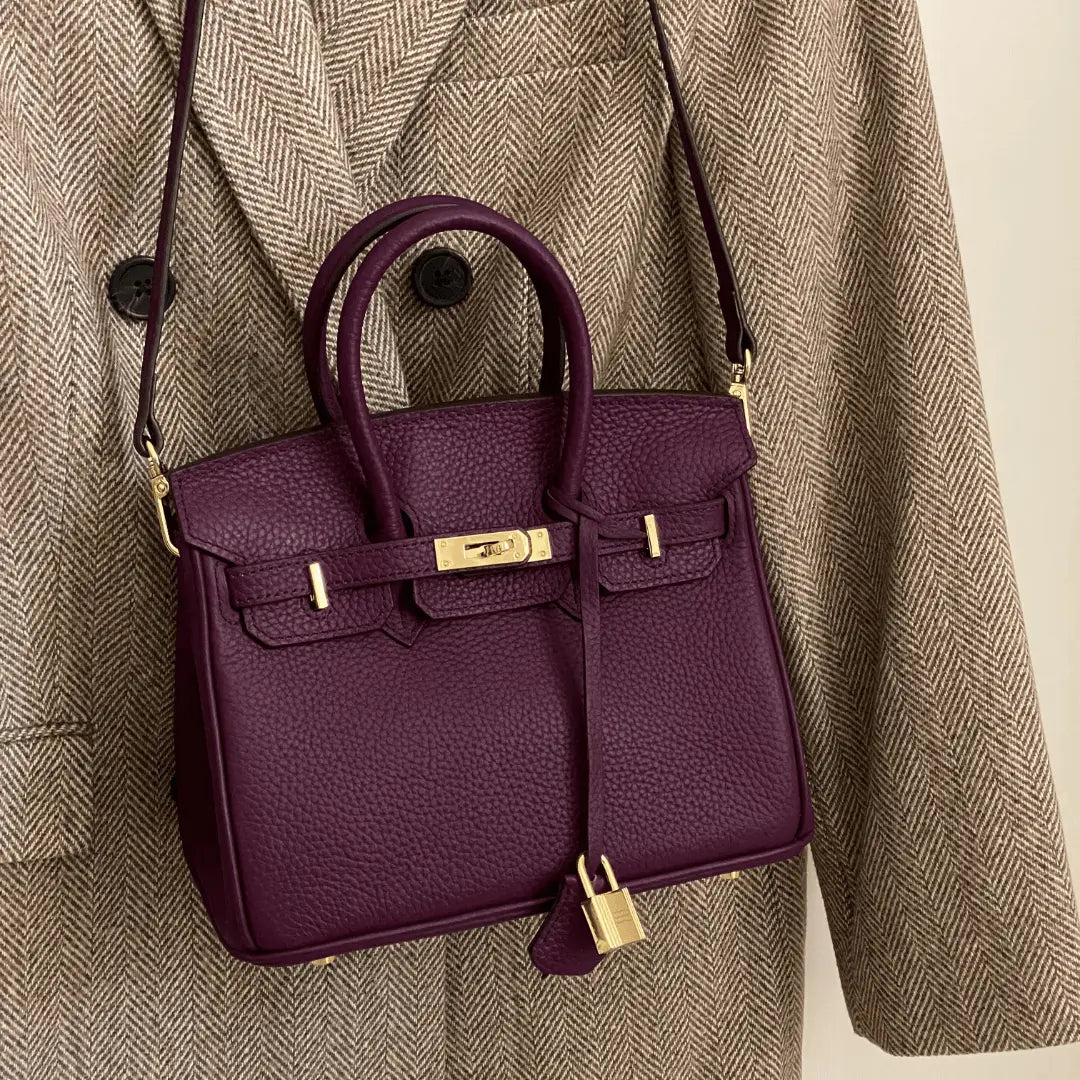Polished luxury women's leather purse, organized everyday fashion accessory.