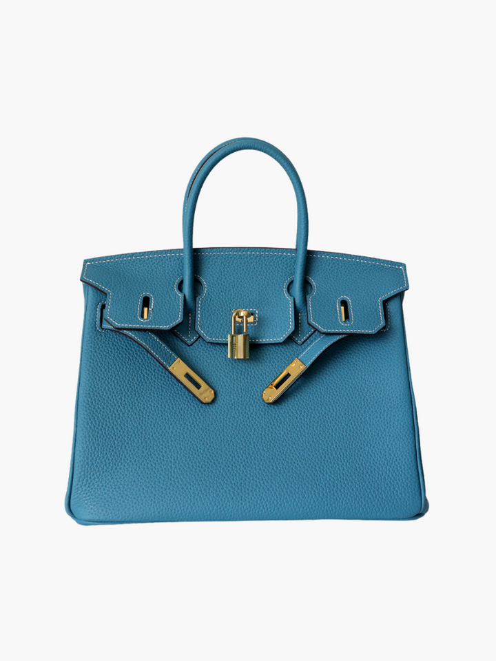 Stylish luxury women's leather handbag, perfect for daily elegant fashion.