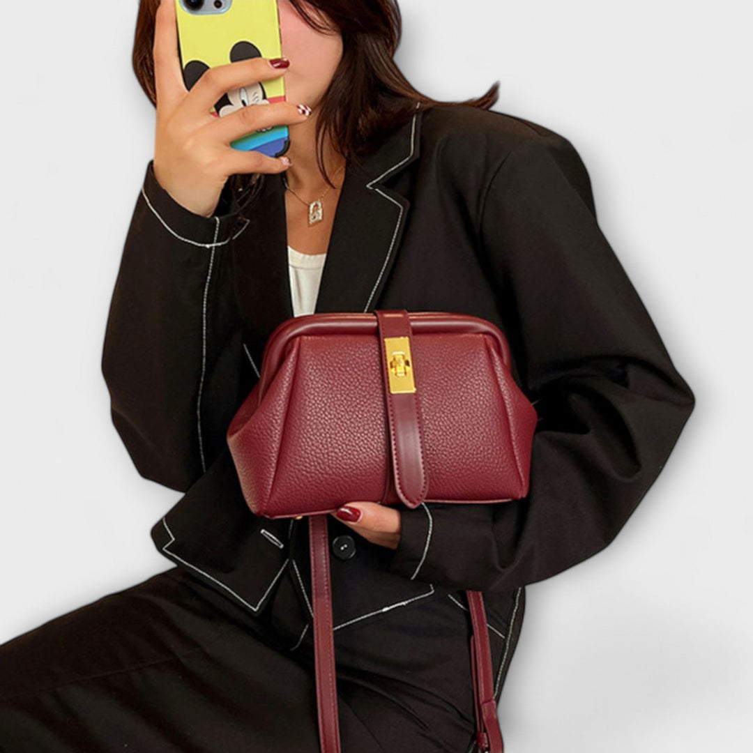 Stylish women's mini shoulder bag, an elegant accessory for spring fashion