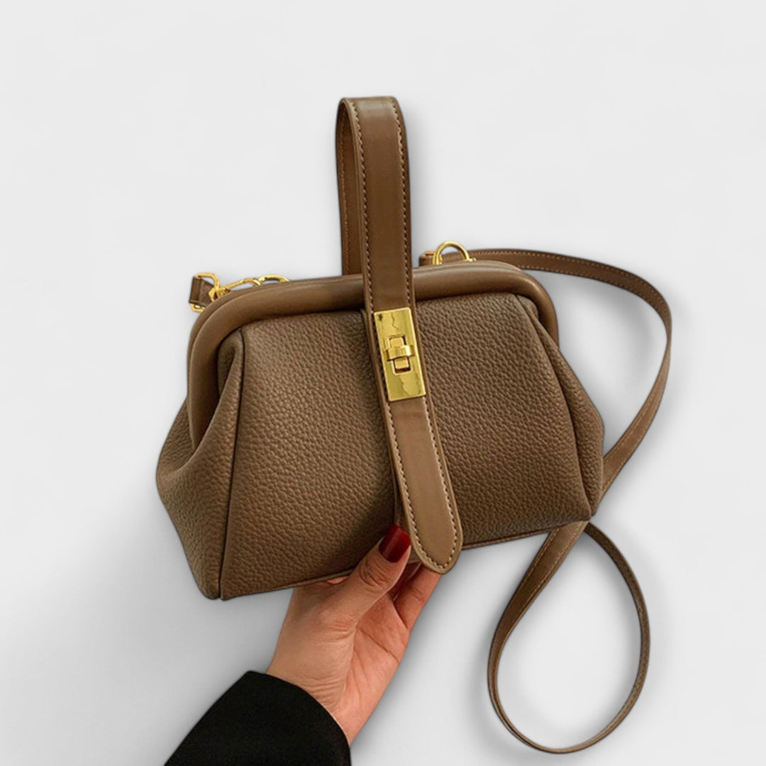 Chic elegant mini handbag, a top handle and crossbody option for women's fashion.