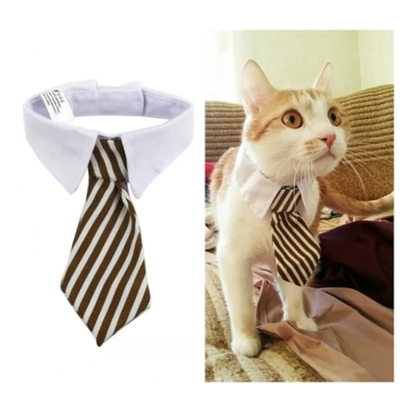 Elegant pet collar with tie for dogs & cats. Stylish & comfortable pet fashion accessory.