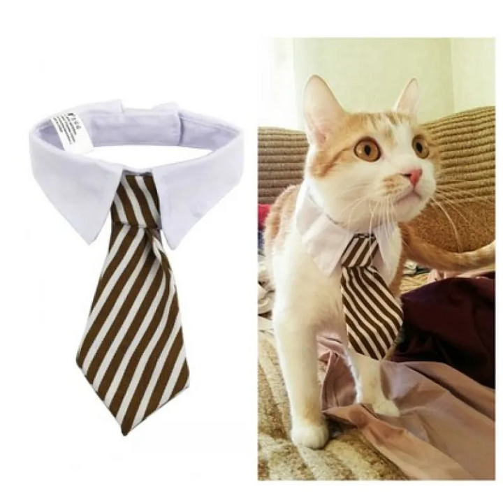 Elegant pet collar with tie for dogs & cats. Stylish & comfortable pet fashion accessory.
