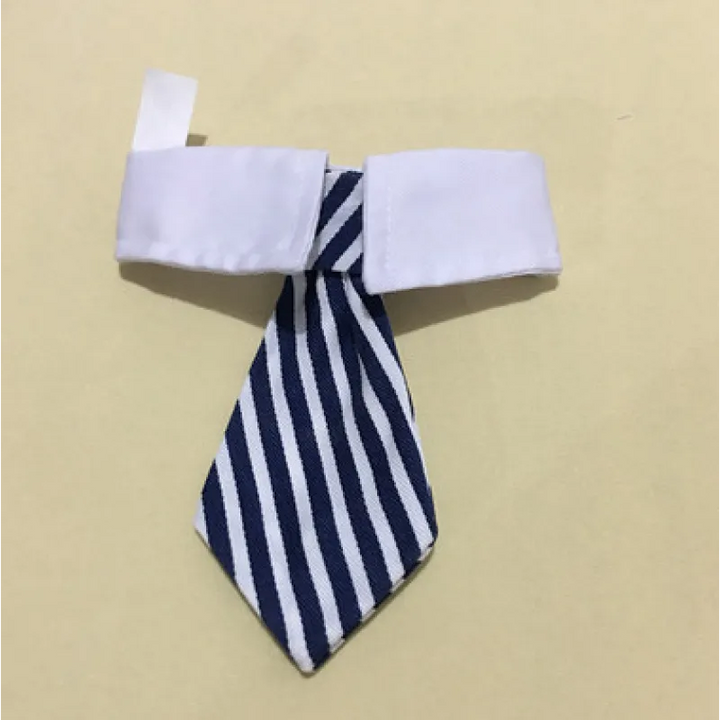 Elegant dog & cat collar with a charming tie. Stylish pet fashion accessory for your beloved animal.