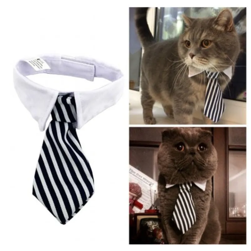 Fashionable dog collar with a sophisticated tie. An elegant pet accessory for your beloved canine.