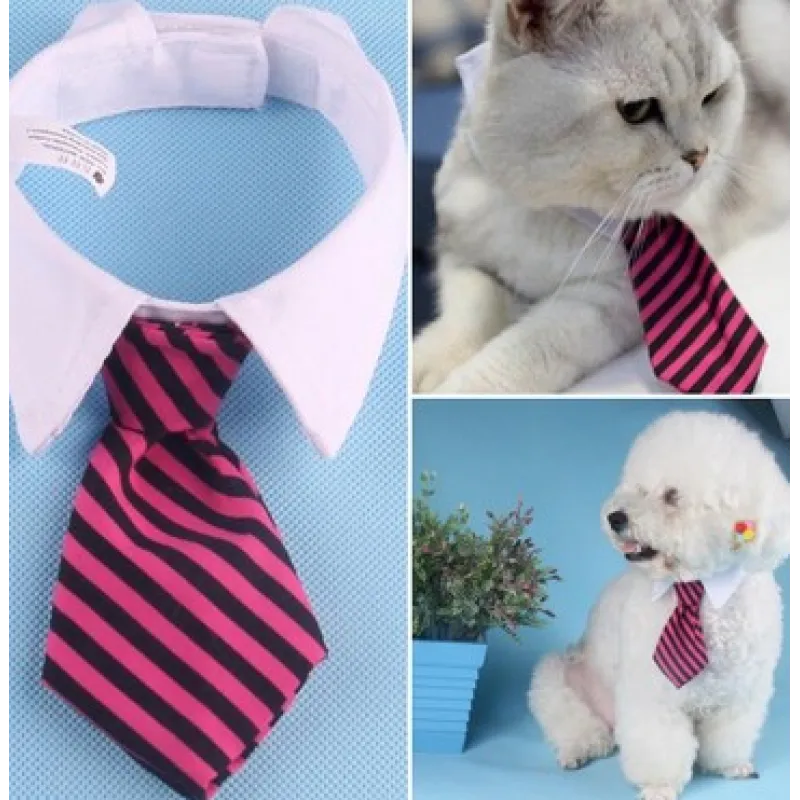Comfortable & elegant pet collar featuring a smart tie. A stylish dog & cat accessory for fashion.