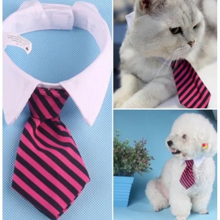 Comfortable & elegant pet collar featuring a smart tie. A stylish dog & cat accessory for fashion.