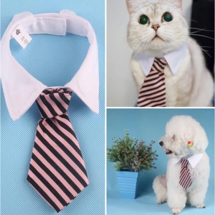 Dress up your pet! Elegant tie collar for dogs & cats, perfect for special occasions & pet fashion.