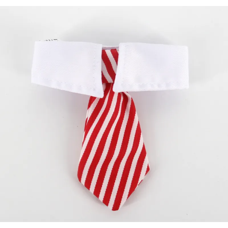 Adorable elegant puppy collar with tie. A stylish and comfortable kitten accessory for young pets.