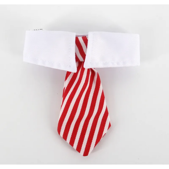 Adorable elegant puppy collar with tie. A stylish and comfortable kitten accessory for young pets.
