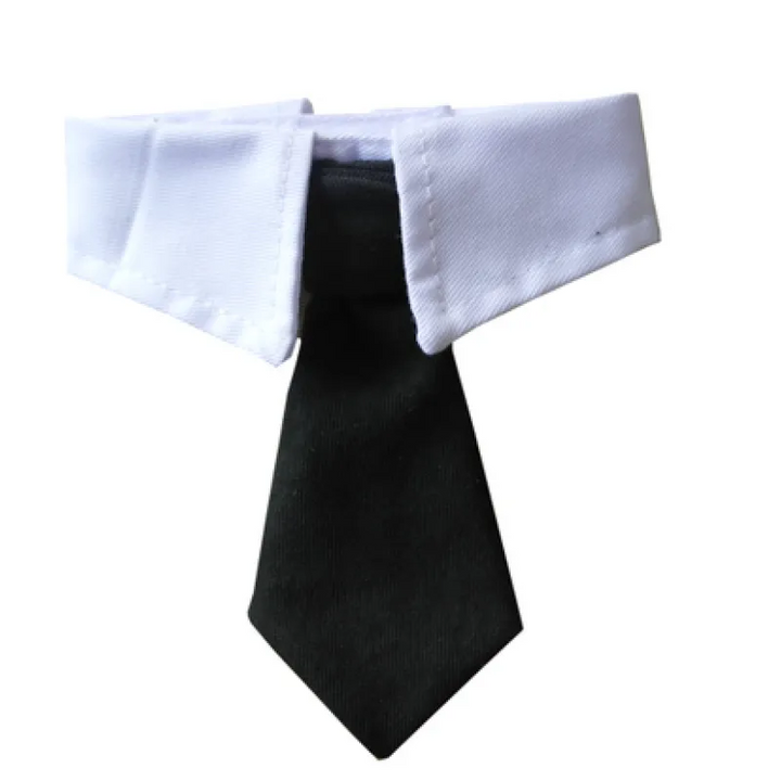 Chic tie pet collar, a stylish accessory for dogs & cats. Elevate your pet's fashion game with this.