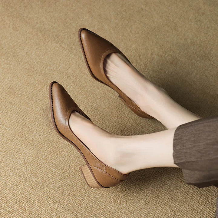 Sophisticated women's pumps, pointed toe mid-heel, slip-on design, ideal elegant footwear.