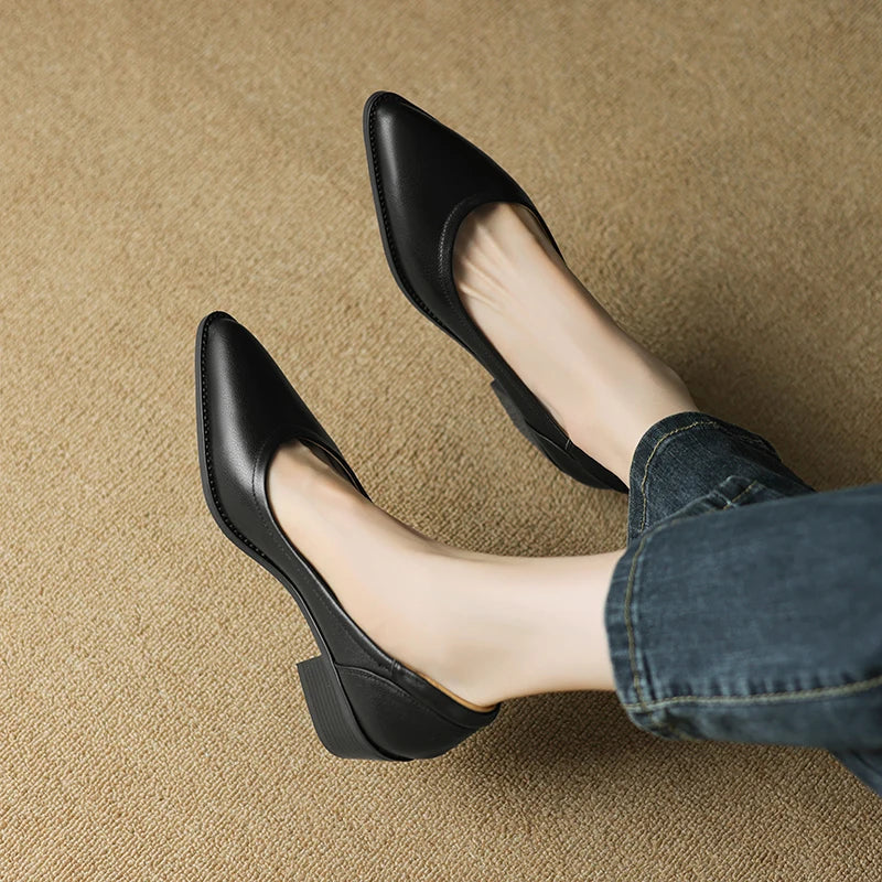 Women's CL-1031 pointed toe mid-heeled pumps, combining comfort with timeless fashion appeal.
