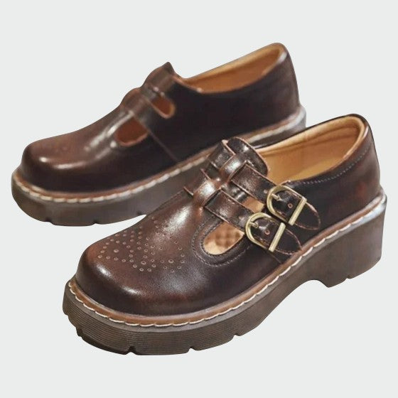 Classic brown leather Mary Jane shoes for women, featuring a stylish block heel and elegant design.