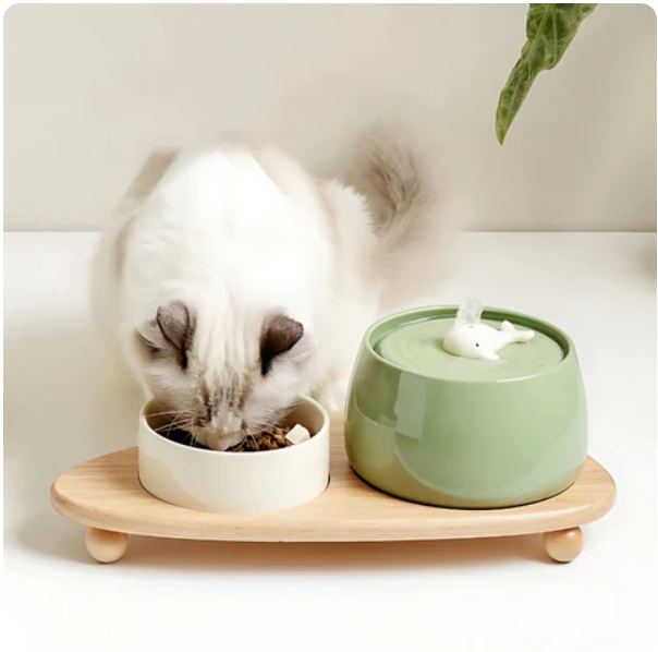Elevated ceramic pet bowls with a natural wooden stand for comfortable dog & cat feeding and healthy eating.