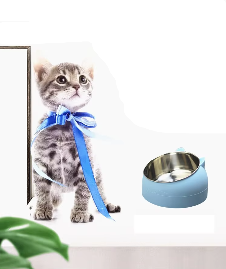 Tilted pet feeder with a blue base & stainless steel bowl. Designed for ergonomic, healthy cat eating.