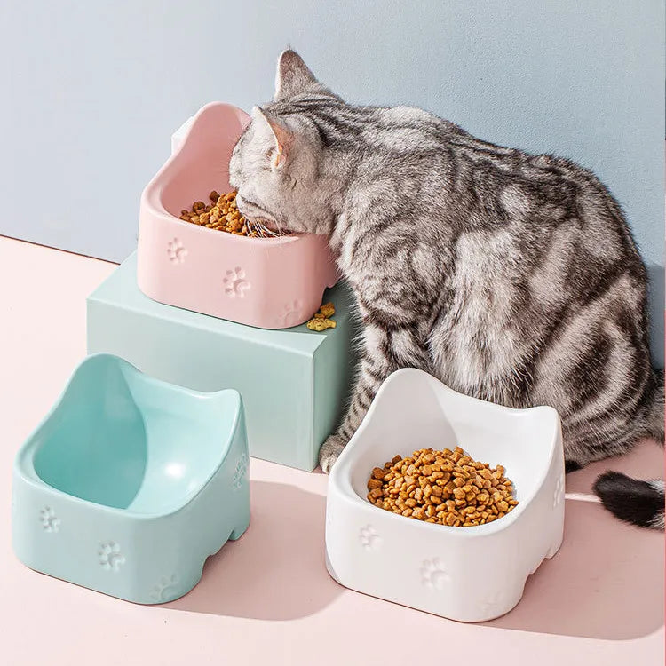 Ergonomic raised cat feeding bowl for improved digestion. Non-slip design prevents spills and promotes healthy eating.