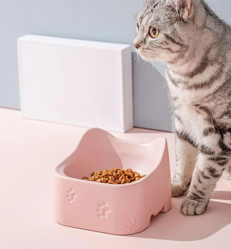 White ergonomic raised cat food bowl. Non-slip design aids digestion, perfect for healthy cats.