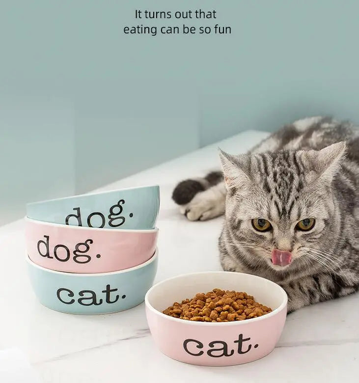 Raised non-slip cat bowl, ergonomically designed to aid digestion & reduce neck strain for healthy eating.
