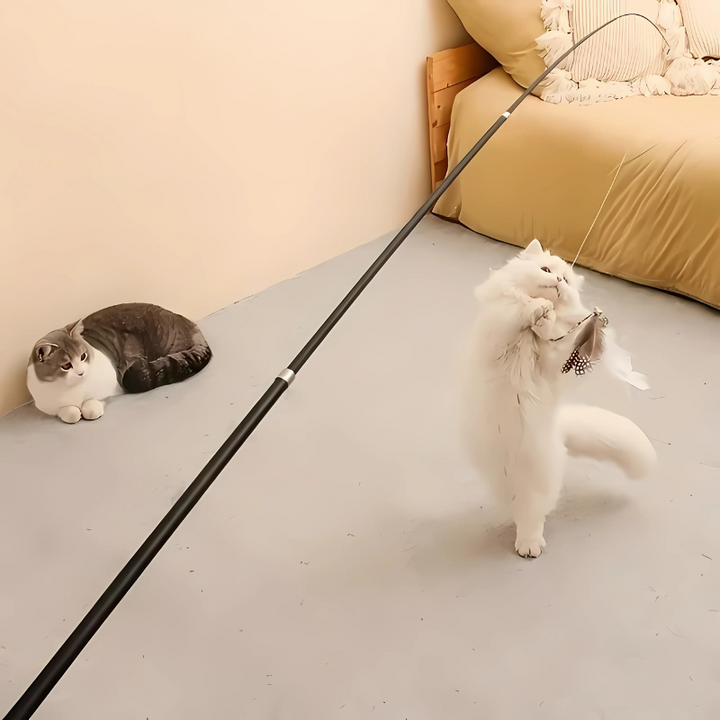 Extendable interactive cat wand toy with a colorful feather teaser, perfect for pet exercise & play.
