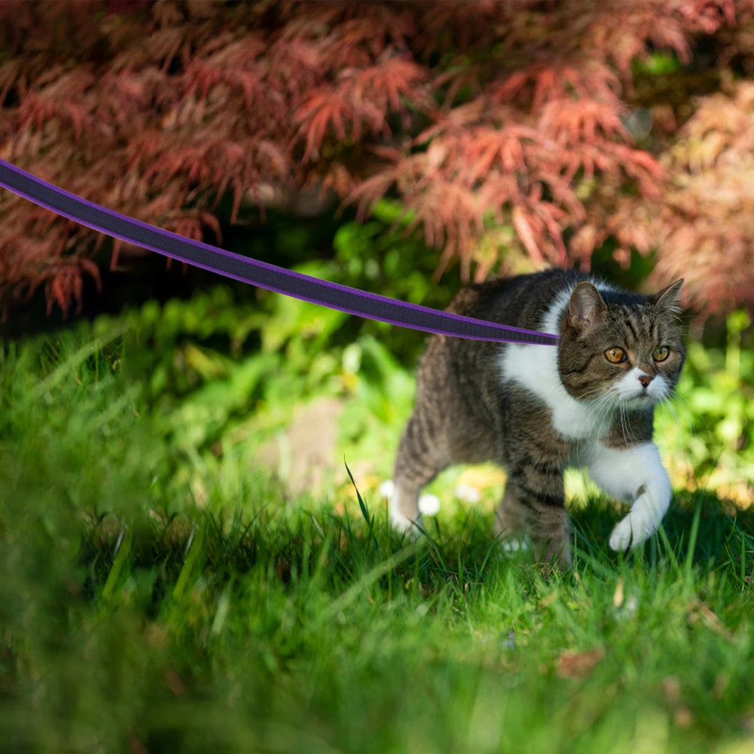 Nylon waterproof long dog lead, comfortable non-slip grip handle for secure hold.
