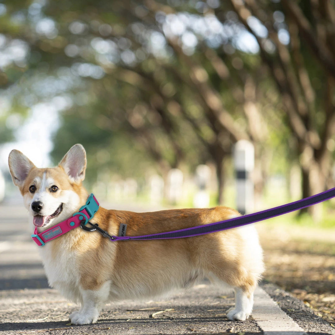 Heavy duty extra long dog lead with waterproof design & soft ergonomic handle.