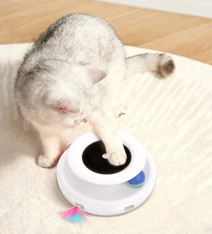 Cat actively chasing the moving LED light from an interactive play toy.