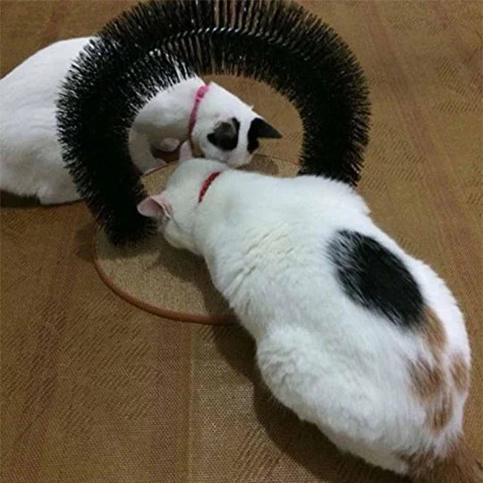 Happy cat uses self-massage grooming arch for comfort, reducing shedding & promoting pet care.