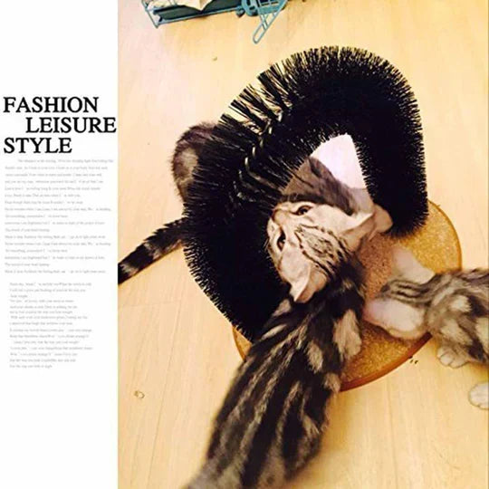 Bristled cat self-care arch for stimulating massage, grooming & ultimate feline comfort.